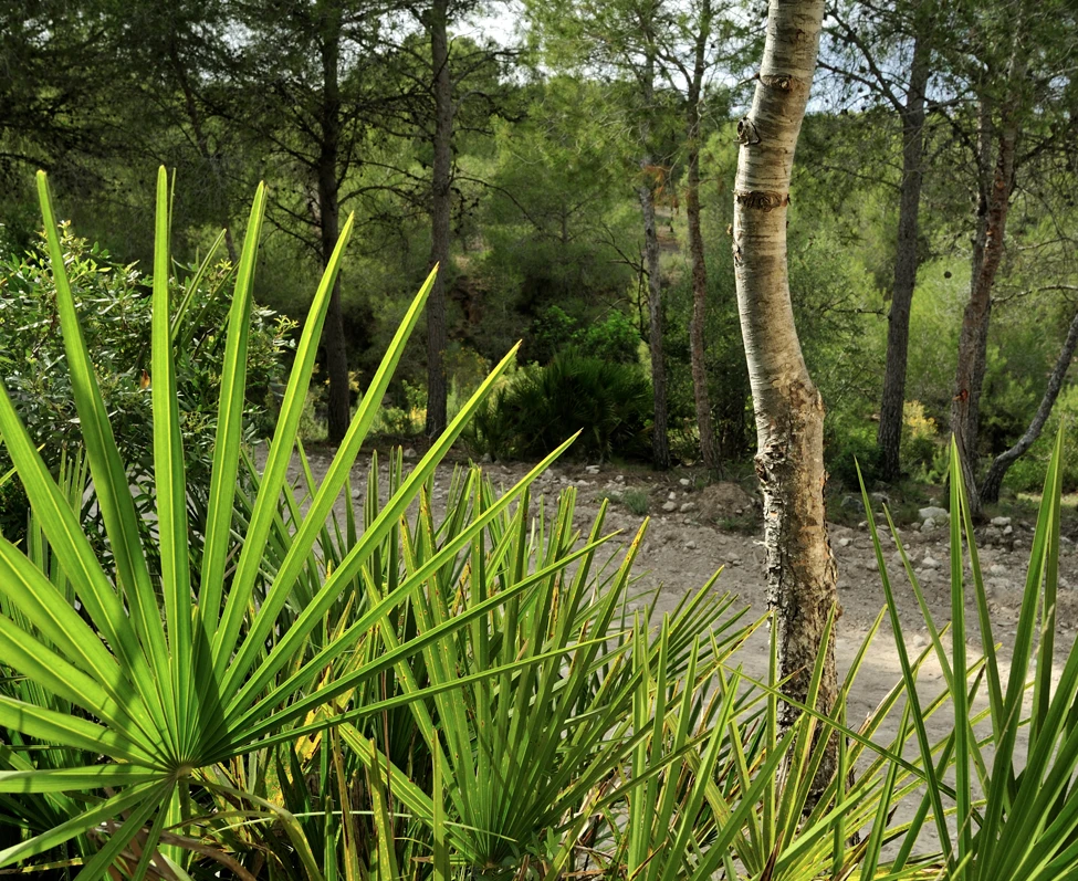 Las Colinas Golf & Country Club - Image 9